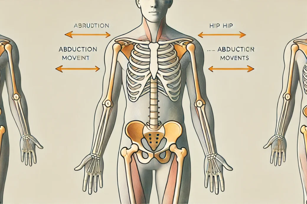 外転（がいてん）